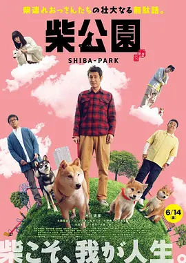 老司机久久影院