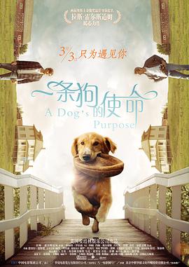 亚洲国产天堂久久综合226